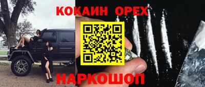 дмт Донской