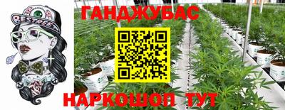 дмт Донской