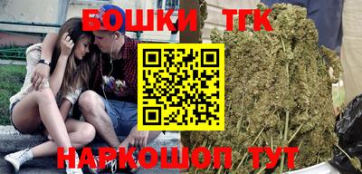 скорость Дубна