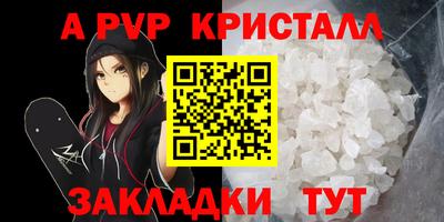 дмт Донской