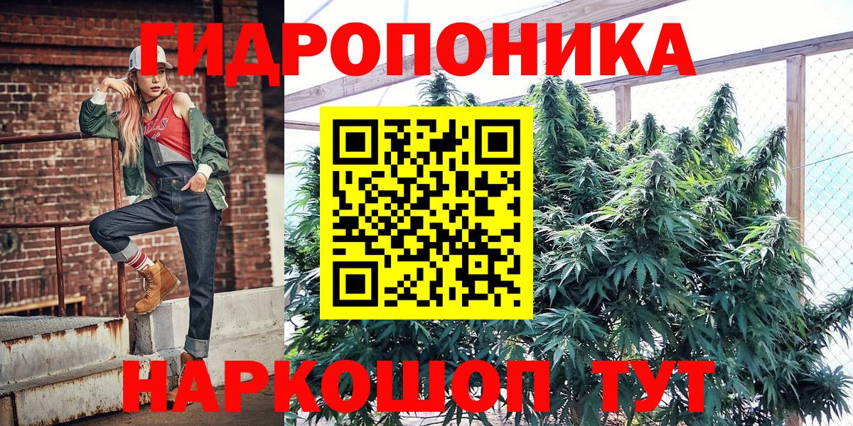 Канабис планчик  Бошки марихуана SATIVA & INDICA  Каннабис AK-47  Касимов  Вход с VPN 